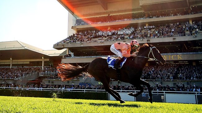 Black Caviar on Australian Story