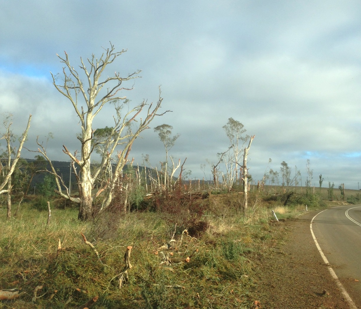 Storm-affected Residents Urged to Apply for Grants