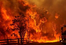 bushfire