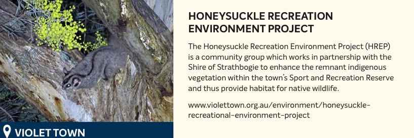 Honeysuckle Recreation Environment Project