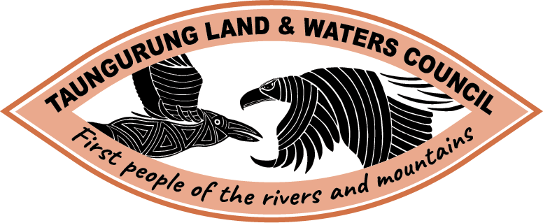 tlwc-2019 final-simple159