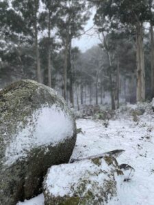 20220601_MtStrathbogieSnow#3