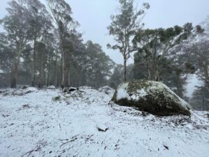 20220601_MtStrathbogieSnow#5