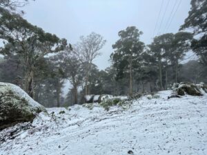 20220601_MtStrathbogieSnow#6