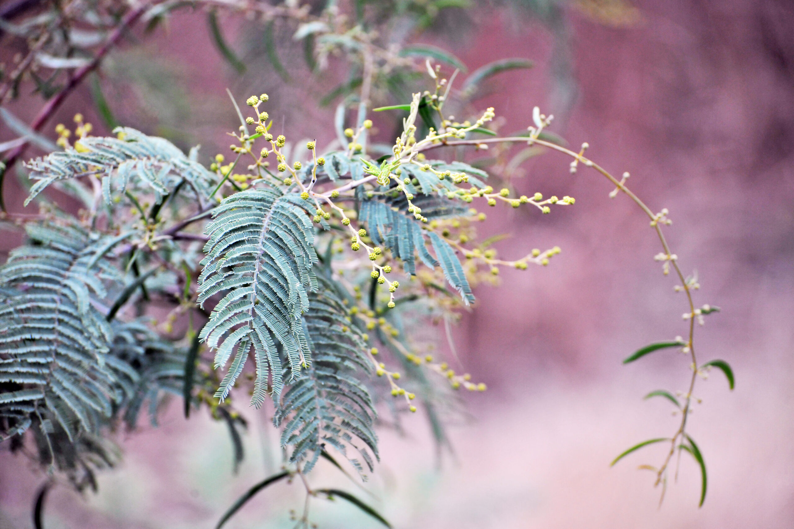 Rehabilitation works to begin at former Violet Town Landfill site
