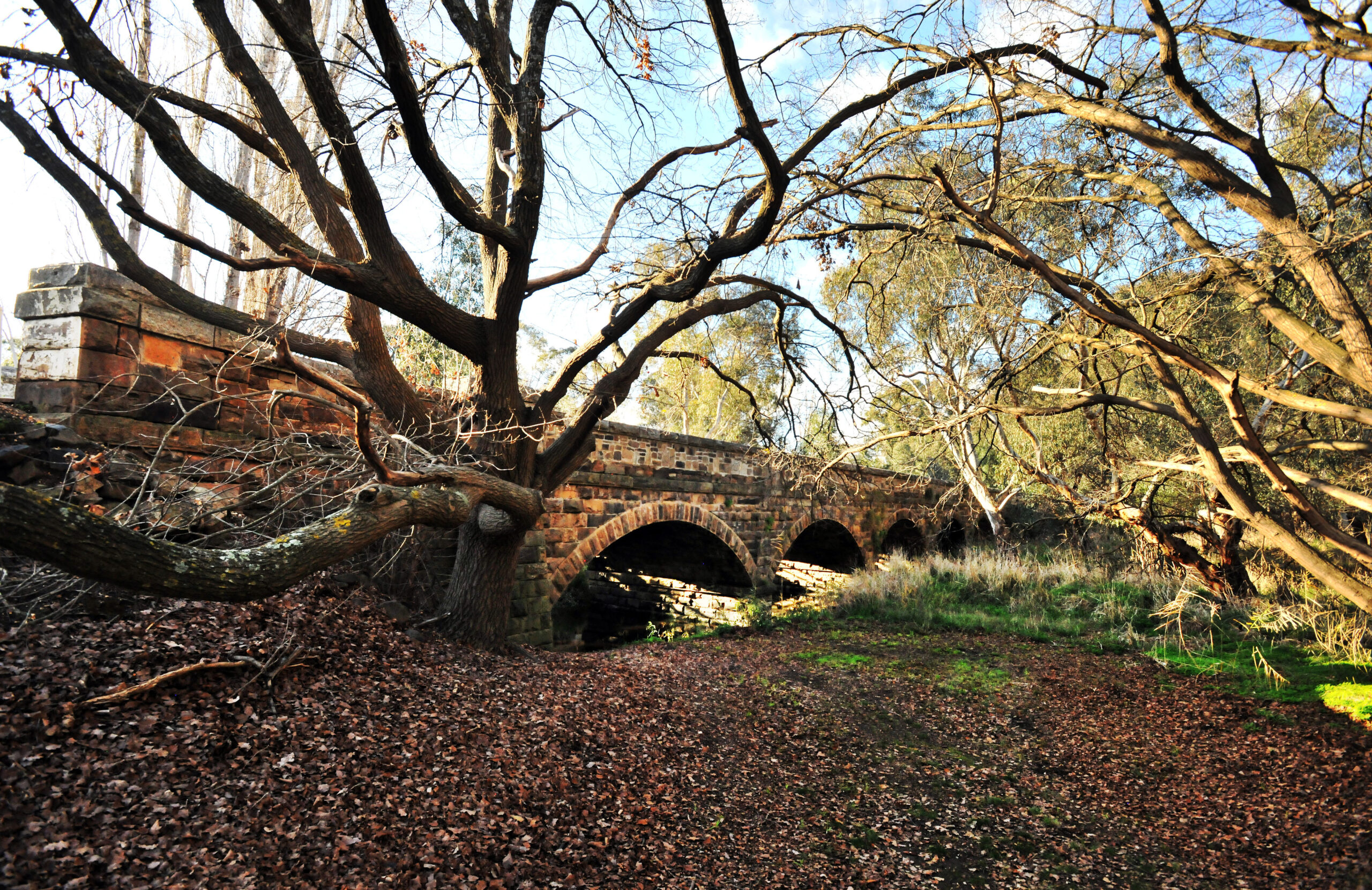 Avenel leaping into resilience community meeting Mirage News