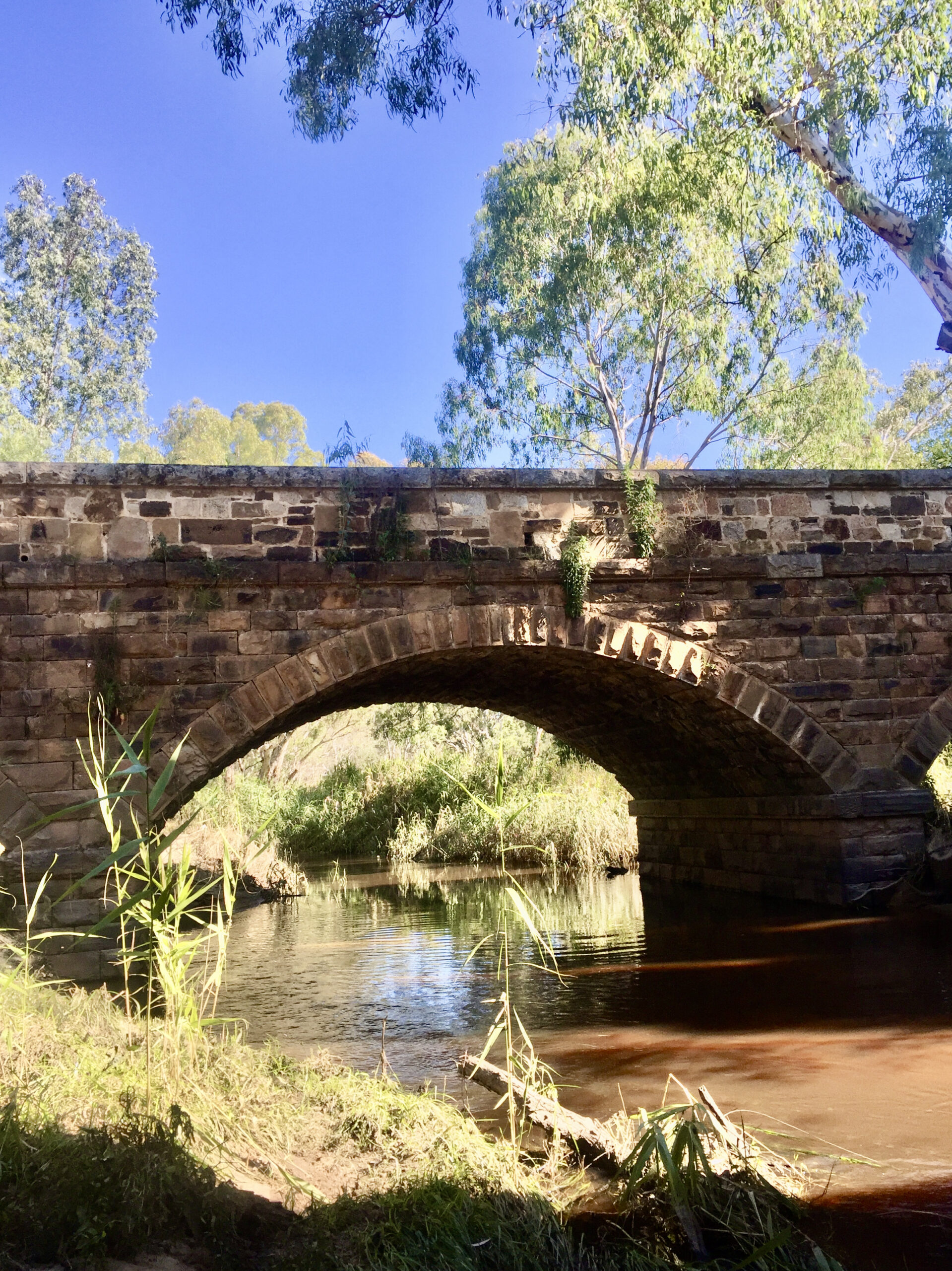 AvenelBridge