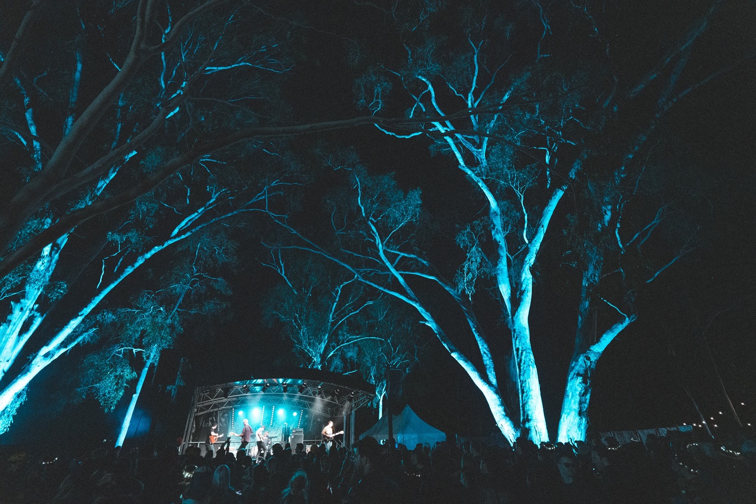 EuroaMusicFestivalResize