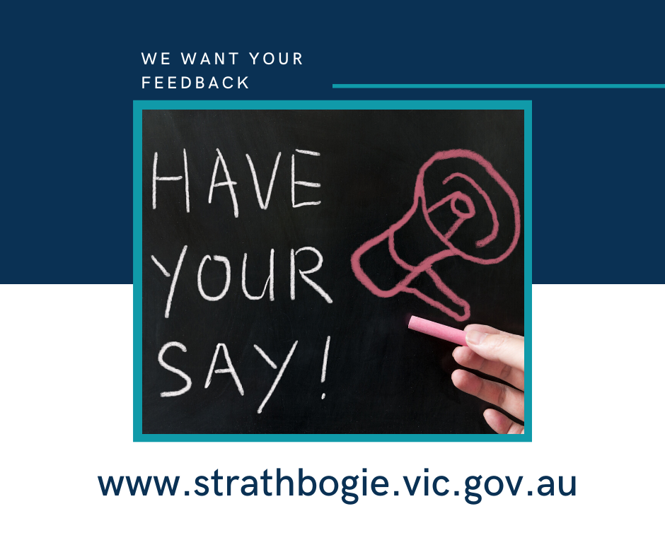 Have your say image